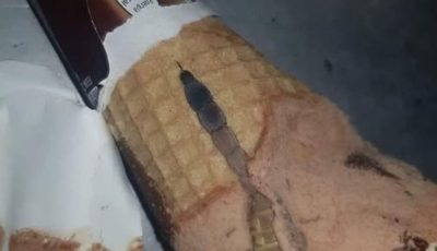 Hoy, mi hija abrió su helado de chocolate favorito, el mismo que come casi todos los días después de la escuela. Todo estaba como siempre: un cono crujiente, un aroma dulce, una suave capa de chocolate encima. Pero unos segundos después, la oí decir sorprendida: “¡Mamá, mira qué es esto!”. Me acerqué y vi algo extraño y oscuro dentro, como un trozo de envoltorio o caramelo. Al principio, pensamos que era solo un defecto, luego que tal vez se había metido un trozo de chocolate. Pero mi hija, siempre curiosa, decidió rebuscar con cuidado con una cuchara. Un momento después, gritó. Dentro, justo debajo del chocolate, vimos…