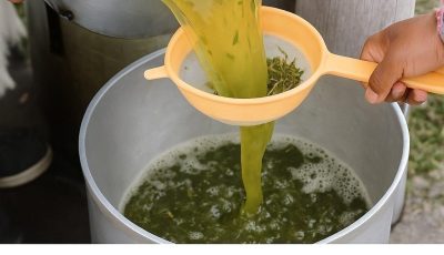 Jugo natural repleto de beneficios
