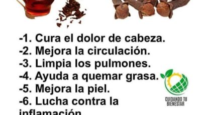 Té de Clavo de Olor: Beneficios para la Salud y Recetas Caseras