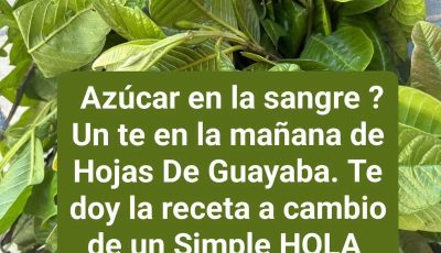 Té de Hojas de Guayaba: beneficios, propiedades y como prepararlo