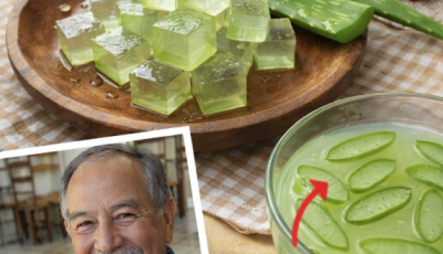¿Quieres Apoyar tu Bienestar Digestivo y General con un Jugo Natural de Sábila y Canela? Descubre Cómo Prepararlo Fácilmente en Casa