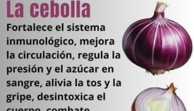 La cebolla: propiedades, beneficios y usos naturales para la salud