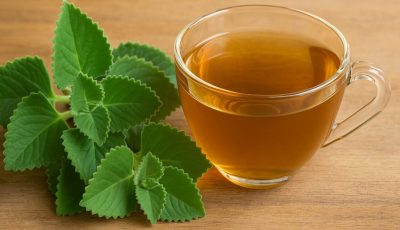 Orégano orejón: solo 1 hoja al día para no sufrir más enfermedades