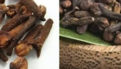 4 Secret Uses of Clove Spice You Need to Know
