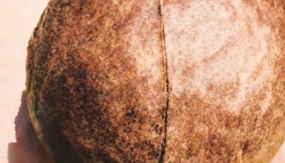 Avocado Seed Benefits: Uses, Properties, and How to Consume It for Better Health