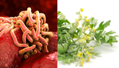 Plantas que ayudan a eliminar las lombrices intestinales
