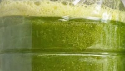 Green Detox Smoothie: Cucumber, Green Apple & Chayote
