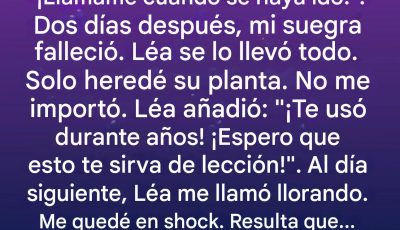 Heredé sólo una planta vieja; la verdad que contenía lo cambió todo.