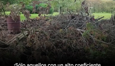 ¿Puedes detectar al perro escondido? ¡Sólo las personas con buena vista podrán hacerlo!