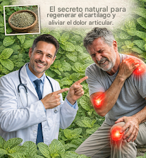 Menta verde y romero: el secreto natural para sostener el cartílago y aliviar el dolor articular.