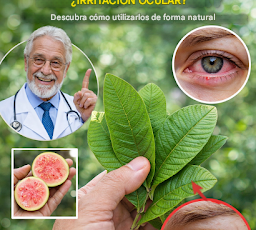 Cómo utilizar la guayaba para tratar problemas oculares: remedios naturales para proteger tus ojos