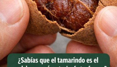 Did you know that tamarind is the king of magnesium among fresh fruits