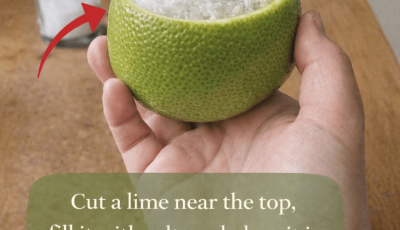 How Placing a Cut Lime With Salt in Your Room Can Help Freshen Your Living Space Naturally