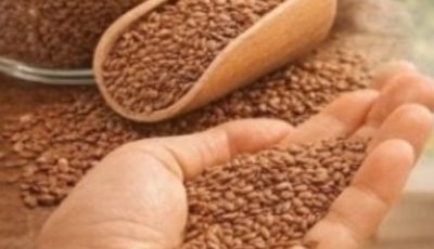 Cancer is afraid of These 6 Seeds: Fight Cancer Naturally