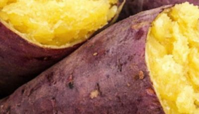 Doctors Reveal that eating sweet potatoes